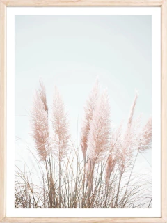 PLUMERILLOS 6
