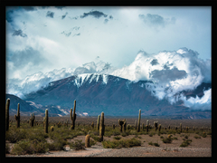 CUADRO CORDILLERA
