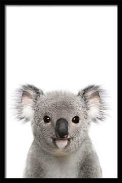 CUADRO BABY KOALA