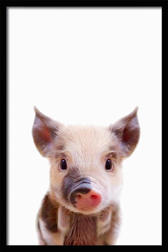 CUADRO BABY PORK