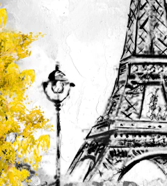 SET YELLOW PARIS - Nativas