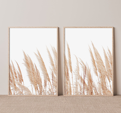 DÚO GOLDEN GRASS - comprar online