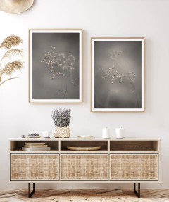 DÚO LATENCIA en internet