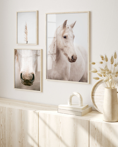 SET CRIOLLO - comprar online
