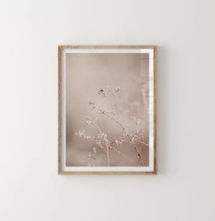 DÚO HERBARIUM - Nativas