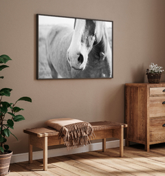 NOBLEZA - comprar online