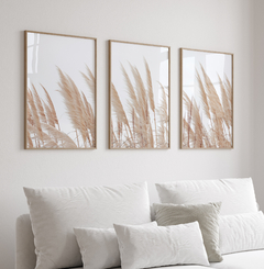 TRÍO GOLDEN GRASS - comprar online