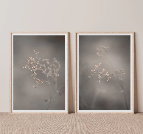 DÚO LATENCIA - comprar online