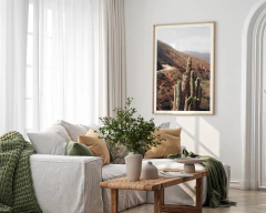 Imagen de GUARDIANES DEL VALLE