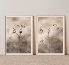 DÚO SILVESTRE - comprar online