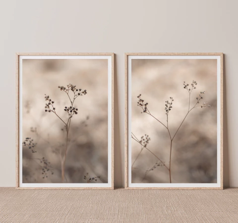 DÚO SILVESTRE - comprar online