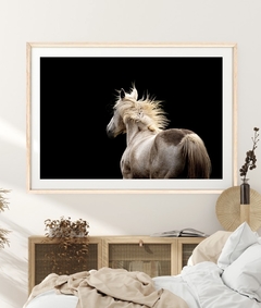 CABALLO BLANCO