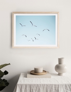 GAVIOTAS