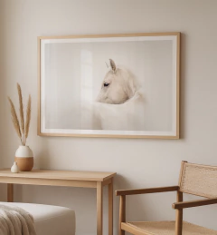 SPECTRUM - comprar online