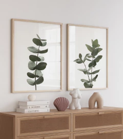 DÚO EUCALIPTO en internet