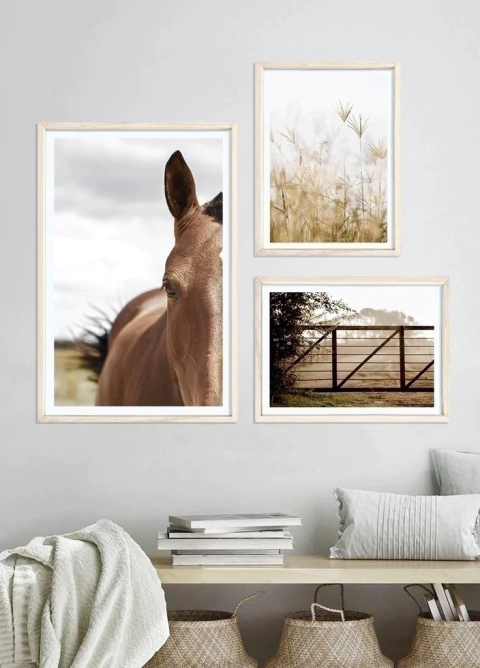 SET CAMPERO - comprar online