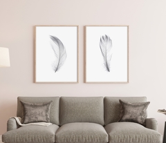 DÚO PLUMAS GRAY