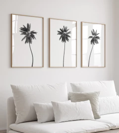 TRÍO PALMERAS ByN