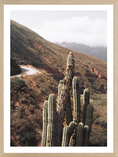 GUARDIANES DEL VALLE - comprar online
