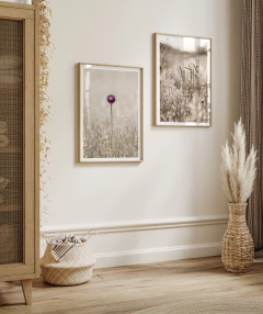 DÚO CALMA SILVESTRE - Nativas