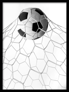 CUADRO PELOTA EN LA RED (vert)