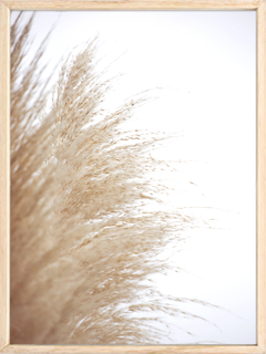 PLUMERILLOS 2
