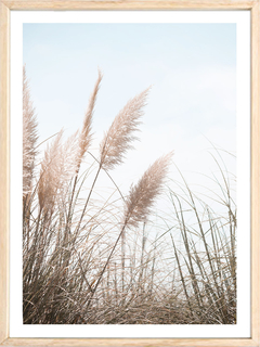 PLUMERILLOS 5