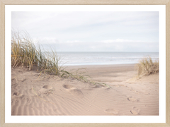 SENDERO AL MAR - comprar online