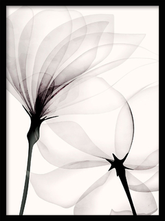 CUADRO TRANSPARENCIA 2