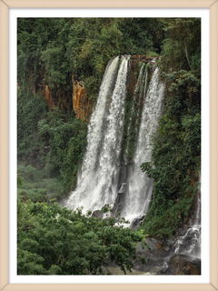 VERDE SELVA