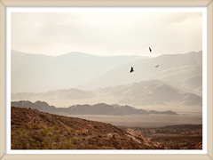 VUELO DEL CONDOR