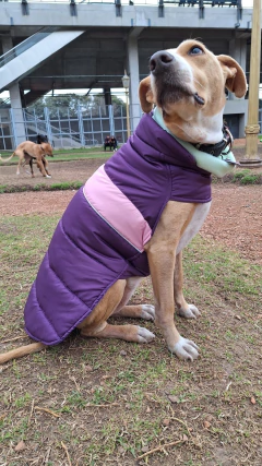 Imagen de Capa impermeable EleCant "Cherokee" - para perros