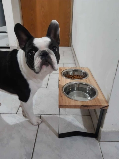 Imagen de Combo Cama Puff & Comedero en altura Paraíso doble - perros chicos