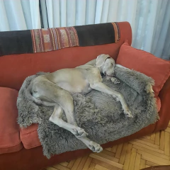 Cubre Sillón - Pelo de Mono y Tussor reversible en internet