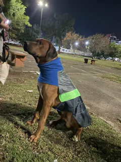 Imagen de Capa impermeable EleCant "Bit" - para perros