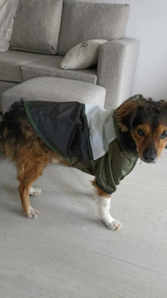 Piloto EleCant Verde Militar- para perros - Happy Pets