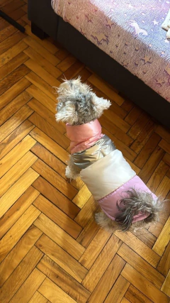 Imagen de Chaleco impermeable EleCant "Macintosh" - para perros