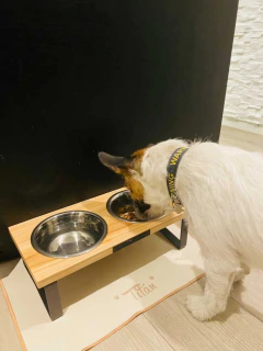 Comedero SIGMA doble - perros chicos en internet