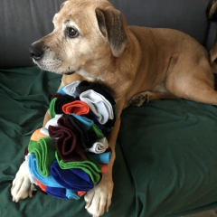 Pelota olfativa artesanal - para perros y gatos - comprar online