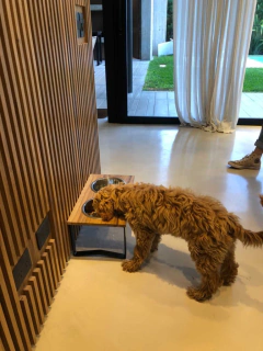 Comedero SIGMA doble - perros medianos - Happy Pets