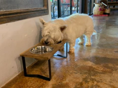 Comedero SIGMA doble - perros chicos - Happy Pets