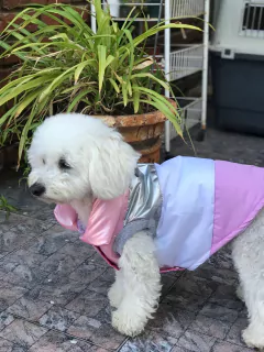 Chaleco impermeable EleCant "Macintosh" - para perros - comprar online