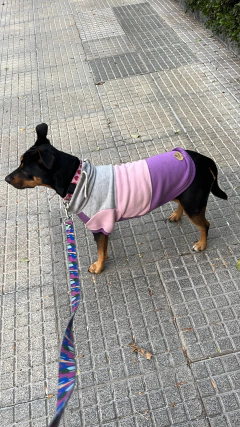 Buzo Frisa y Algodon " Smart"- para perros en internet