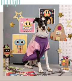 Buzo Frisa y Algodon " Smart"- para perros en internet