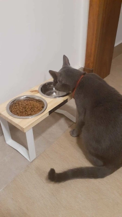 Combo Cama Puff & Comedero en altura Paraiso doble - gatos - tienda online