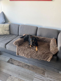 Cubre Sillón - Pelo de Mono y Tussor reversible - tienda online