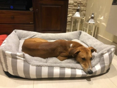 Cama Moises Artesanal - Para Perros & Gatos - Varios Tamaños en internet