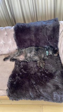 Manta / Pie de Cama / Abrigo - Pelo de Mono y Tussor - Happy Pets