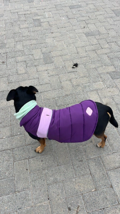 Capa impermeable EleCant "Cherokee" - para perros - Happy Pets