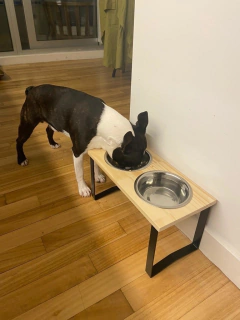 Comedero SIGMA doble - perros chicos